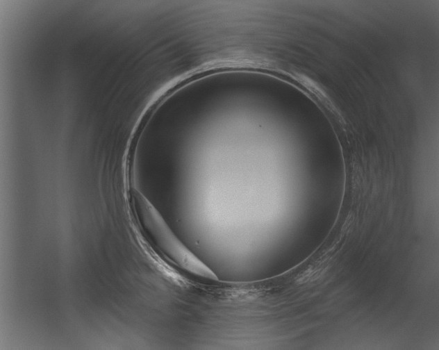 X0000054461238200508011453