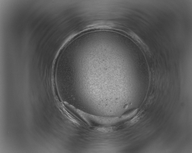 X0000054461240200508011453