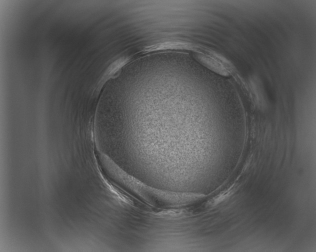 X0000054461241200508011453