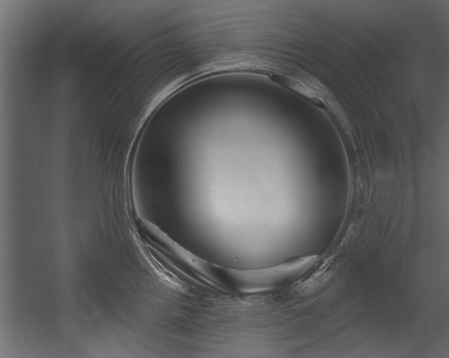 X0000054461242200508011453