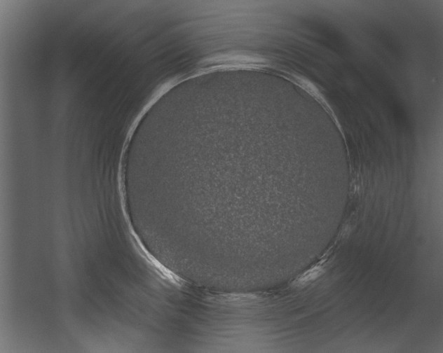 X0000054461243200508011453