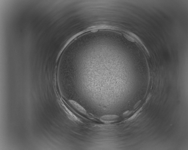 X0000054461244200508011453