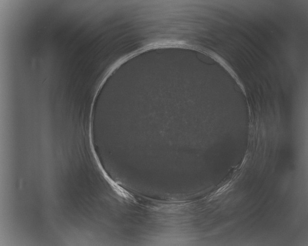 X0000054461245200508011453