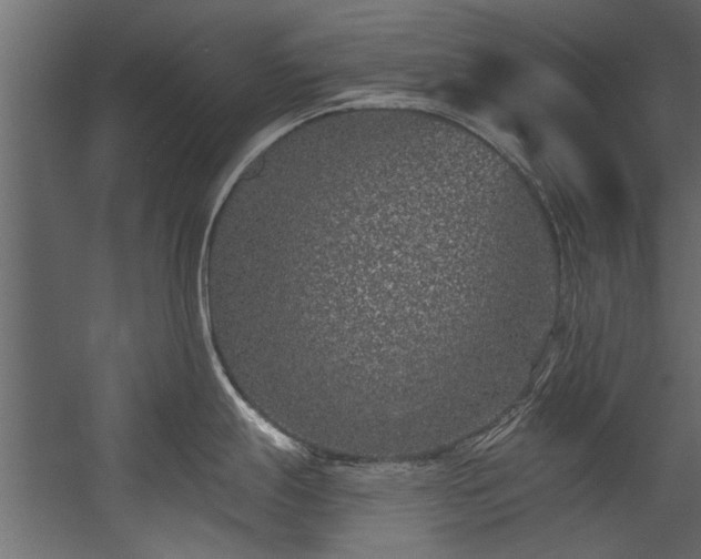 X0000054461247200508011453