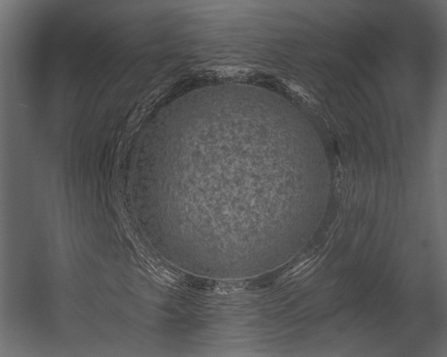 X0000054461249200508011452