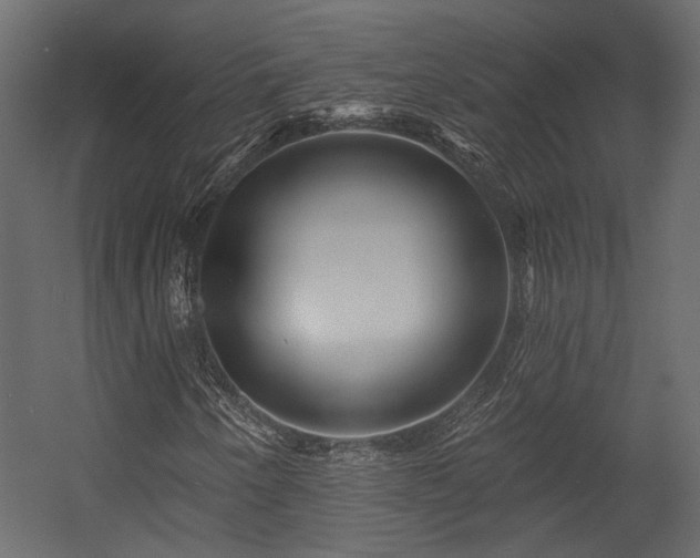 X0000054461250200508011452