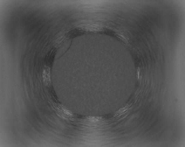 X0000054461251200508011452