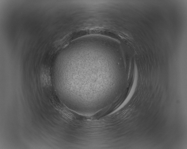 X0000054461252200508011452