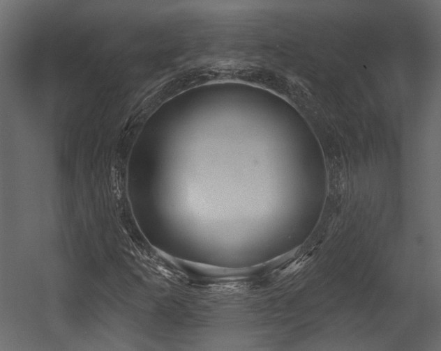 X0000054461253200508011452