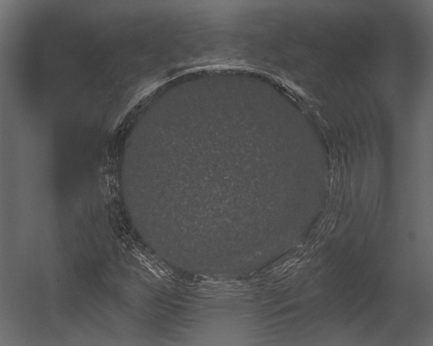 X0000054461255200508011452