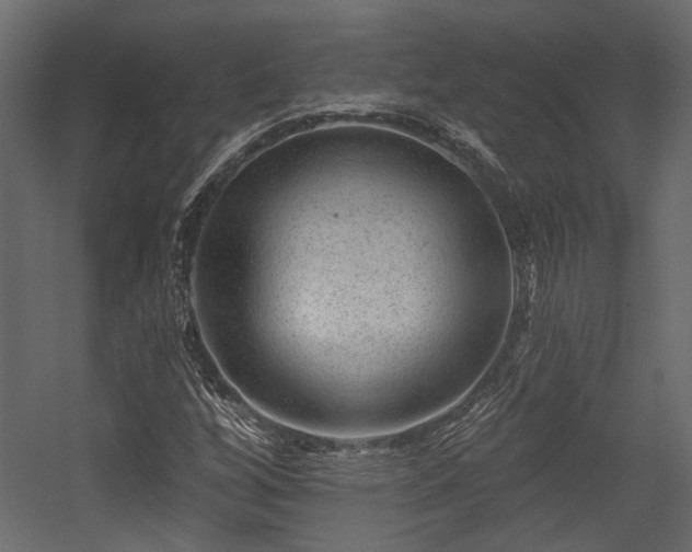 X0000054461256200508011452