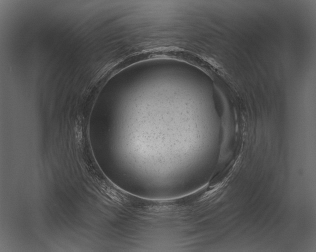 X0000054461257200508011452