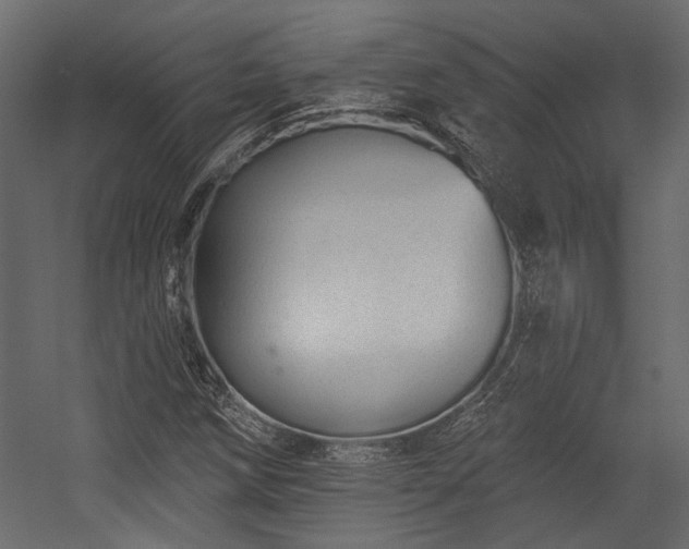 X0000054461258200508011452