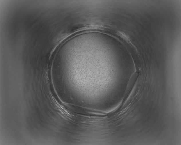 X0000054461260200508011452