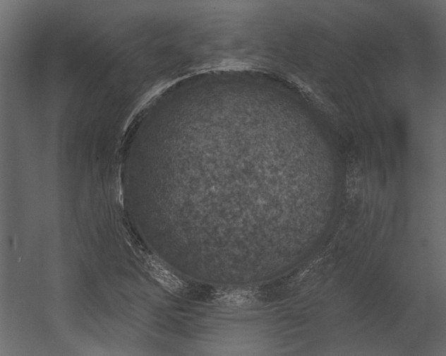 X0000054461262200508011452