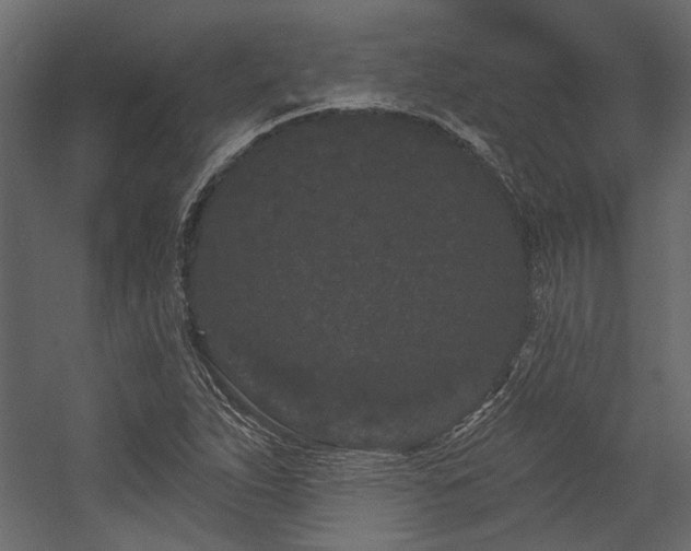 X0000054461263200508011452