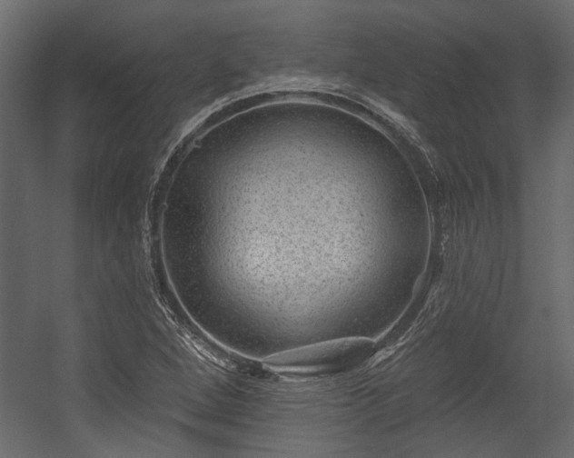 X0000054461264200508011452