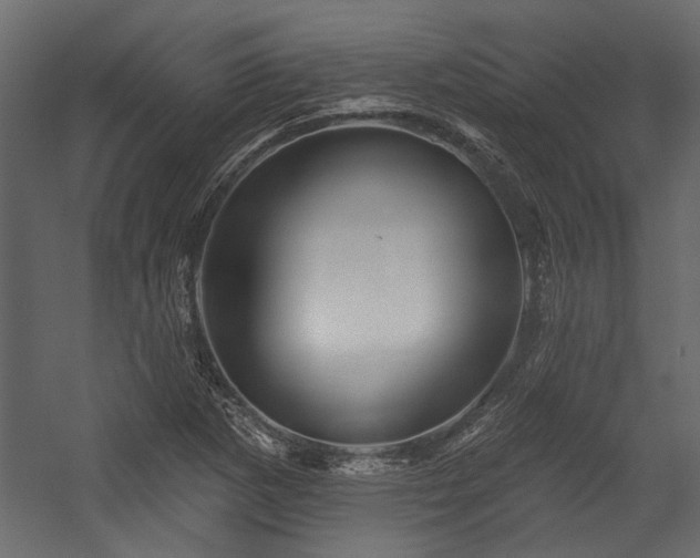 X0000054461265200508011452