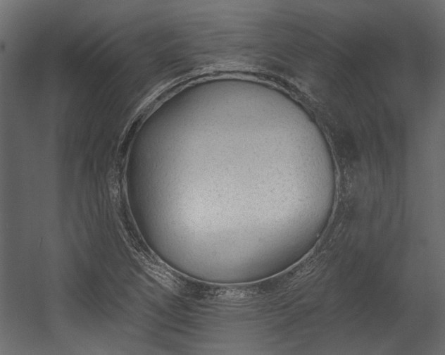 X0000054461266200508011452