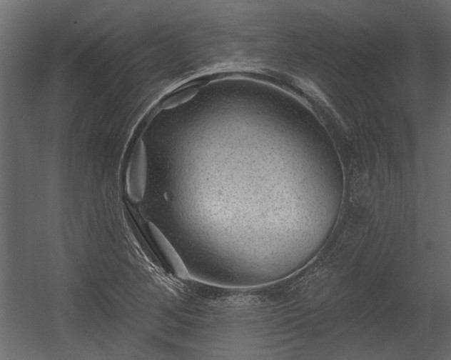 X0000054461268200508011452