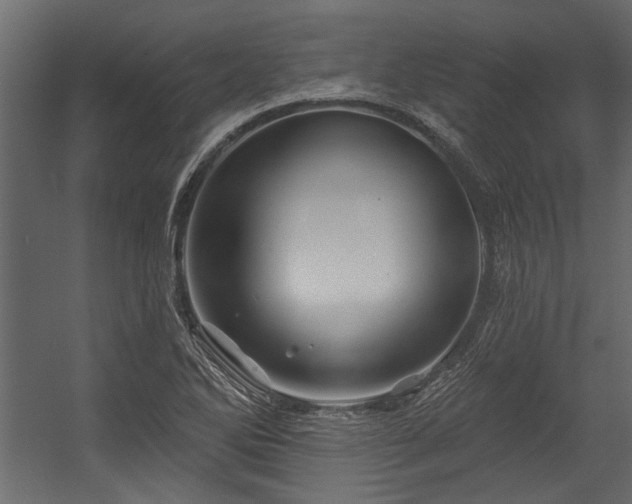 X0000054461270200508011452