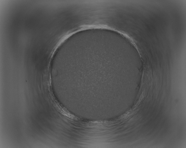 X0000054461271200508011452