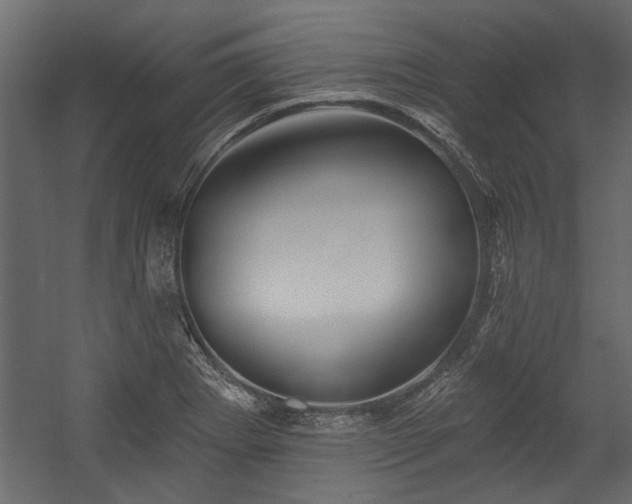 X0000054461273200508011452