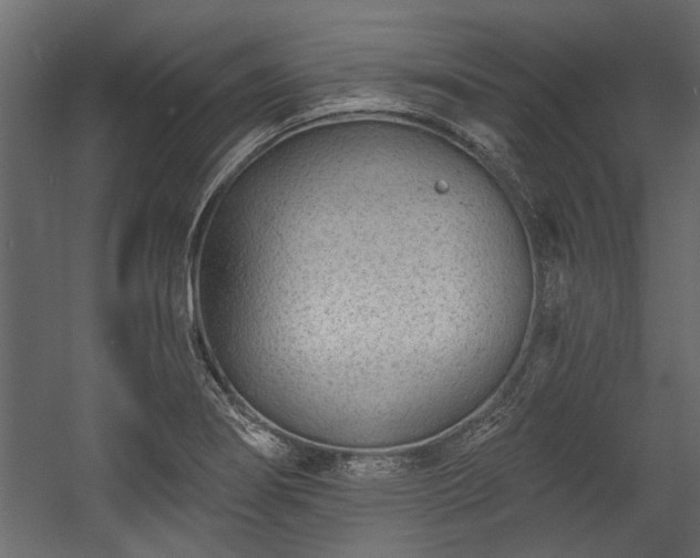 X0000054461274200508011452