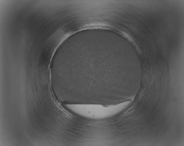 X0000054461275200508011452