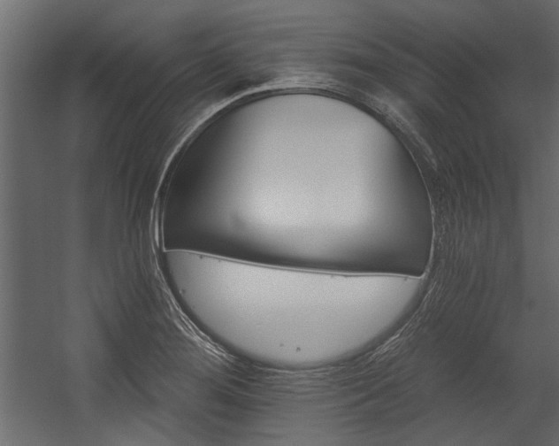 X0000054461276200508011452