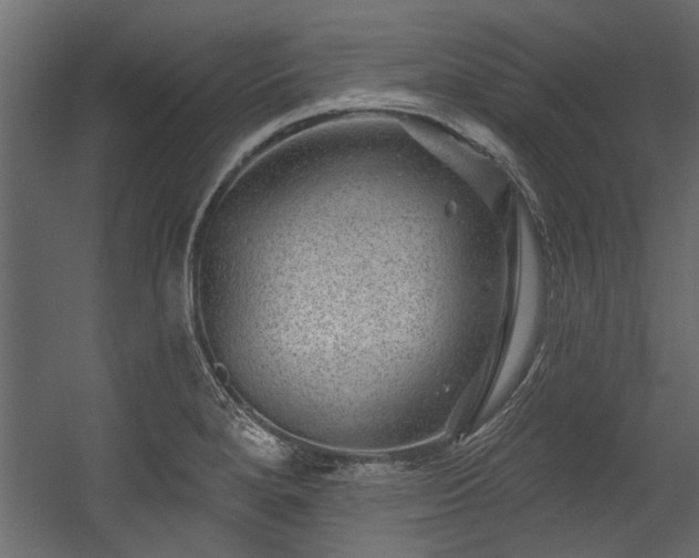 X0000054461280200508011452