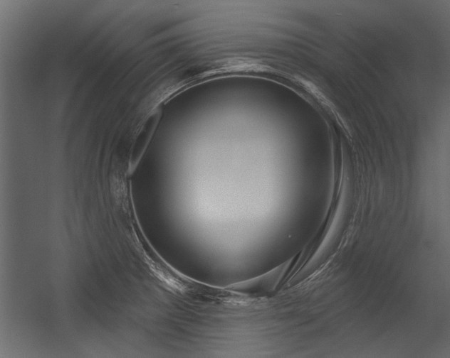 X0000054461281200508011452