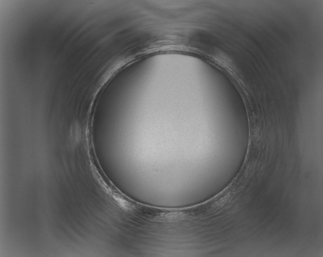 X0000054461282200508011452