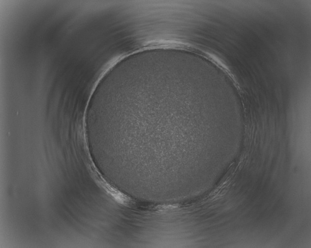 X0000054461283200508011452