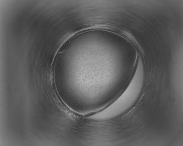 X0000054461284200508011452