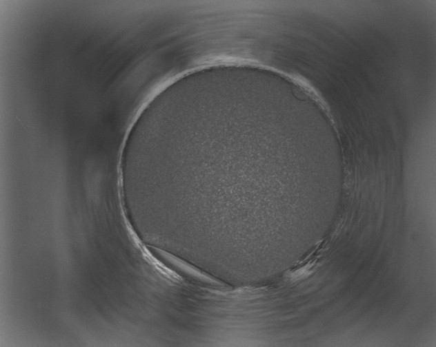 X0000054461287200508011452