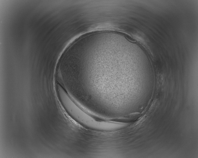 X0000054461288200508011452