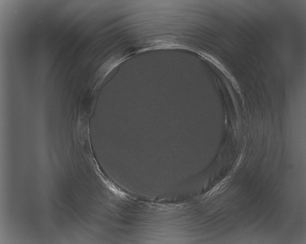 X0000054461289200508011452