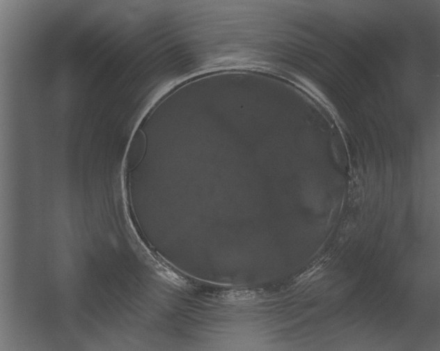 X0000054461291200508011452