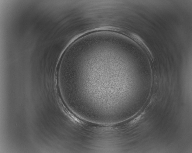 X0000054461292200508011451