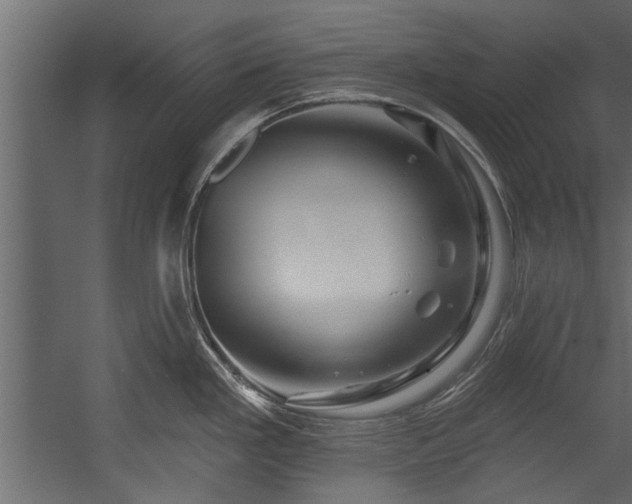 X0000054461293200508011451