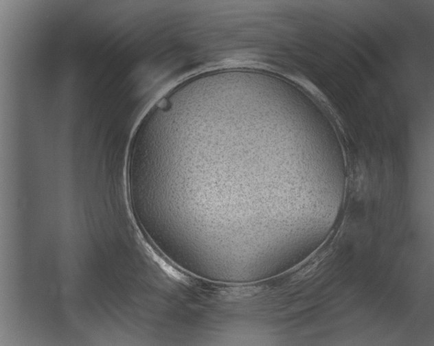 X0000054461294200508011451