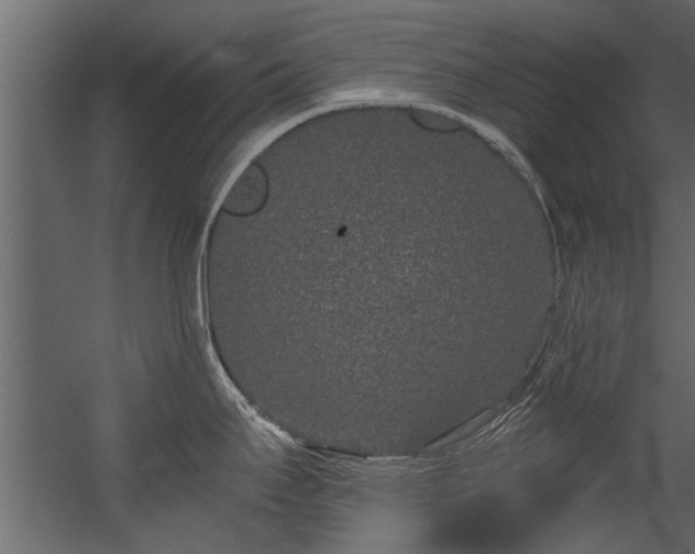 X0000054461295200508011451