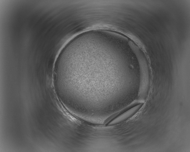 X0000054461296200508011451