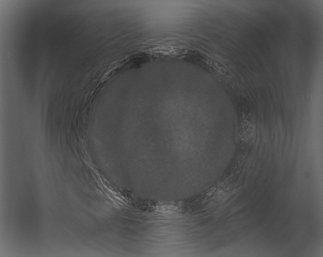 X0000054461297200508011451