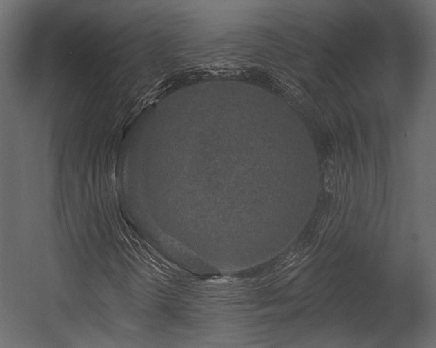 X0000054461298200508011451