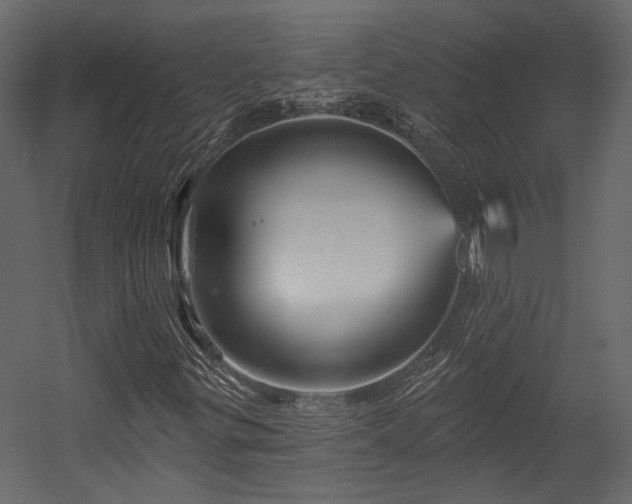 X0000054461299200508011451