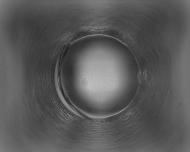 X0000054461300200508011451