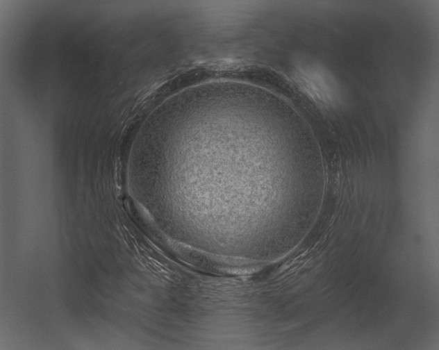 X0000054461301200508011451