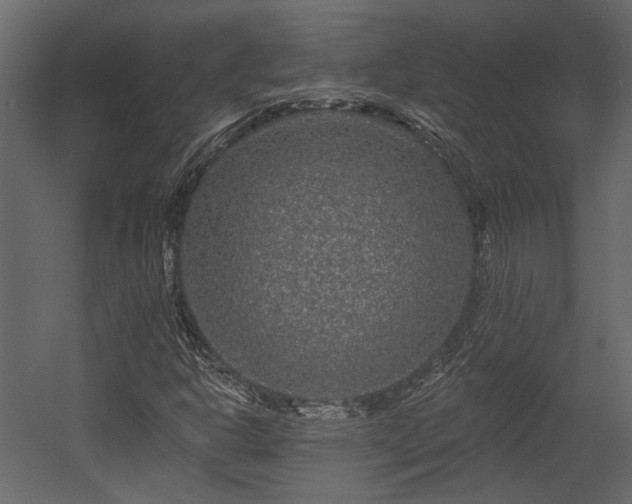 X0000054461302200508011451